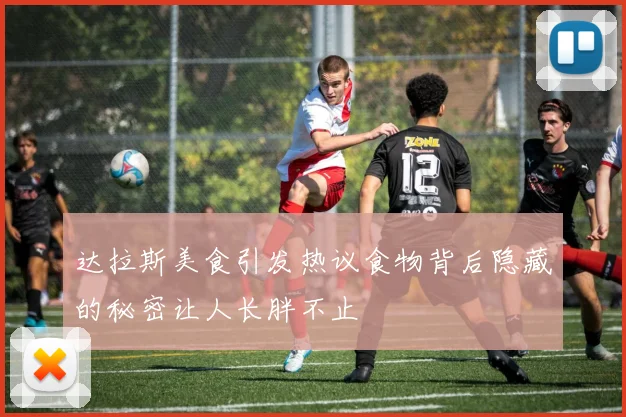 达拉斯美食引发热议食物背后隐藏的秘密让人长胖不止