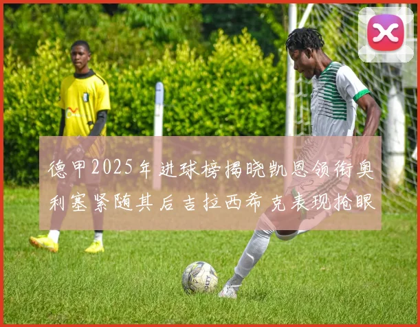 德甲2025年进球榜揭晓凯恩领衔奥利塞紧随其后吉拉西希克表现抢眼