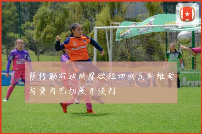 萨格勒布迪纳摩欲租回利瓦科维奇与费内巴切展开谈判