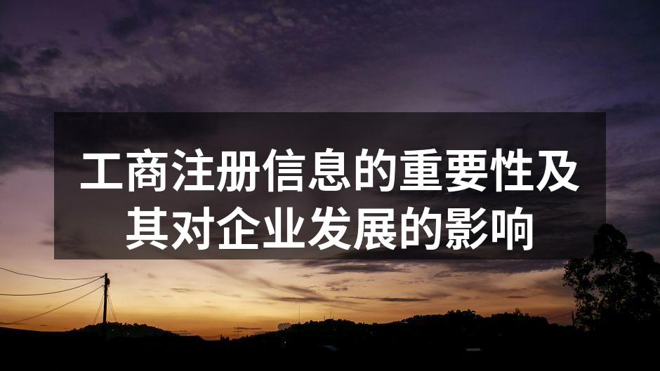 工商注册信息的核心要素