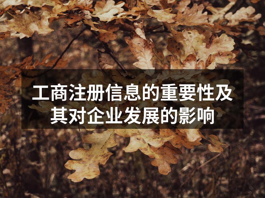 工商注册流程示意图