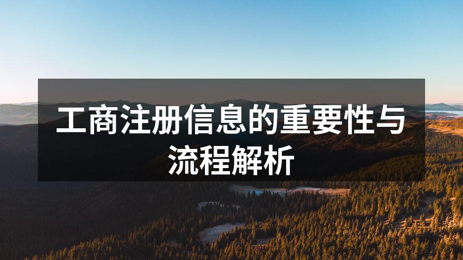 工商注册流程图示