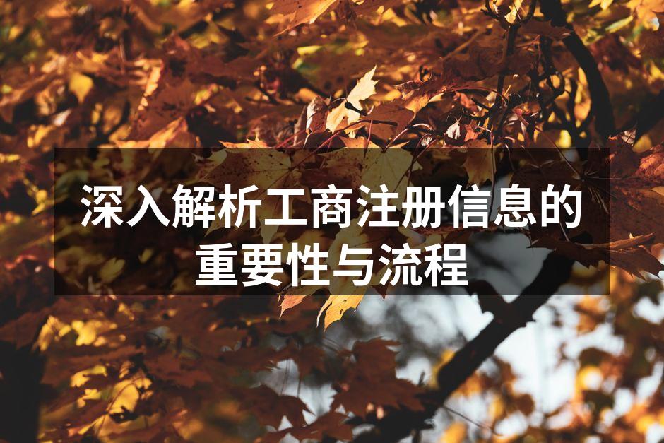 深入解析工商注册信息的重要性与流程
