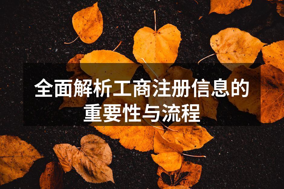 工商注册流程示意图