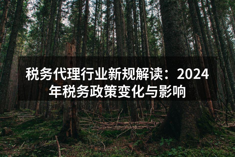 税务代理行业新规解读：2024年税务政策变化与影响